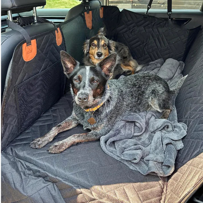 PawsGuard Back Seat Pet Cover – Waterproof Car Protector