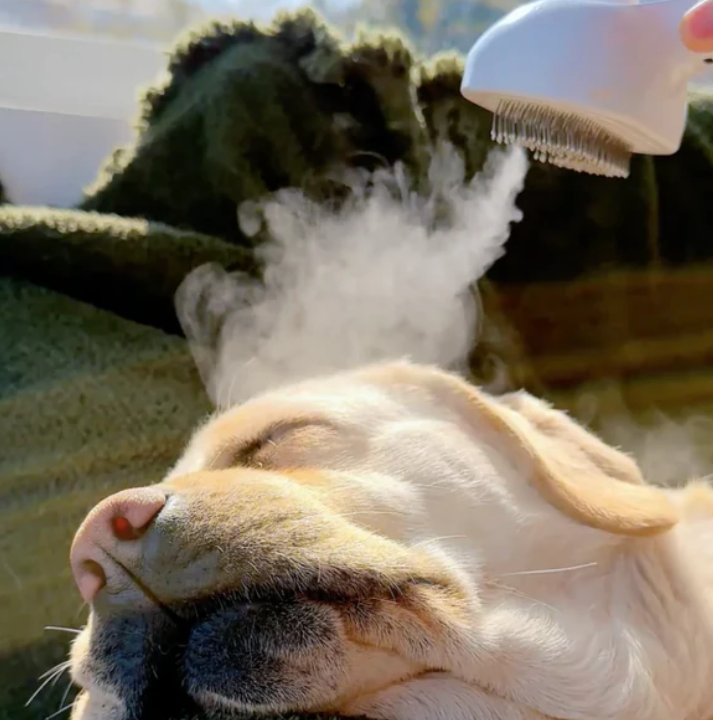 PawMist – Mist-Infused Massage Brush for Pets | Gentle Grooming & Cooling Care for Cats and Dogs