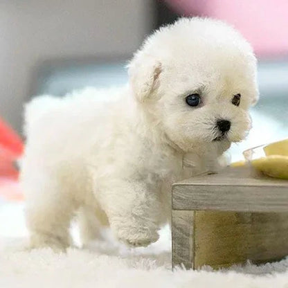 SnugglePup – Realistic Plush Puppy with Lifelike Details