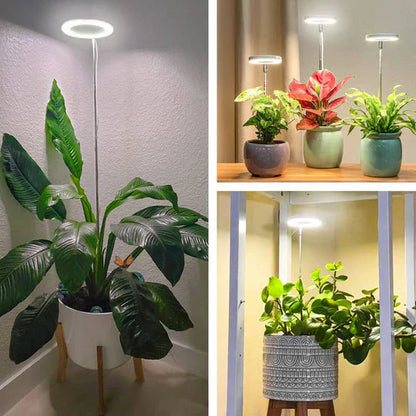 GrowGlow Adjustable LED Plant Lamp – Full Spectrum Grow Light with Timer & USB Power