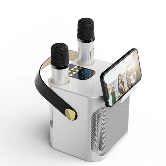 Karaoke Bluetooth Speaker – 360° Surround Wireless Subwoofer with Dual Mics