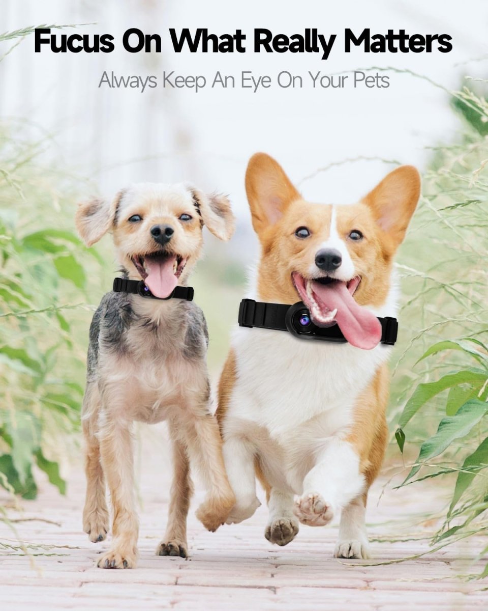 PetCam Collar Camera – HD Mini Recorder for Dogs & Cats
