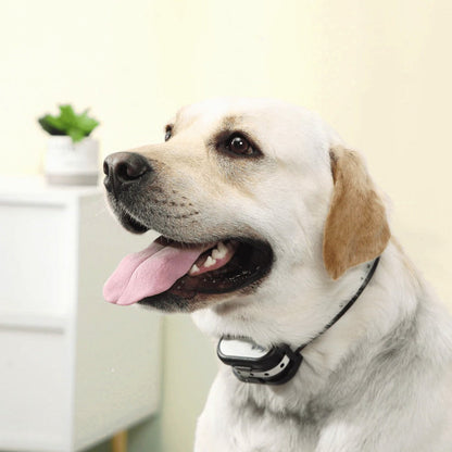 SafeZone Wireless Dog Fence & Training Collar – Rechargeable, Waterproof & Pet-Friendly Correction Modes