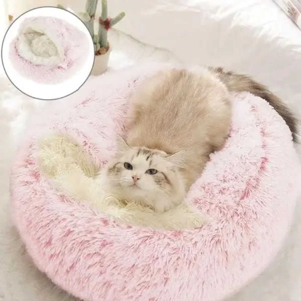 Cozy Cave Pet Bed | Calming & Comfortable Dog Bed for Deep Relaxation