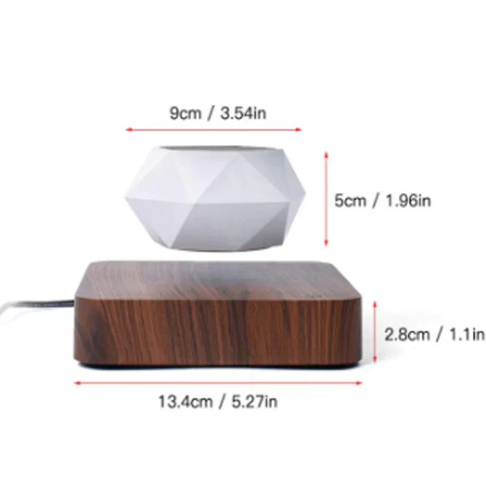 Levitate Luxe Bonsai Planter – A Mesmerizing Floating Display