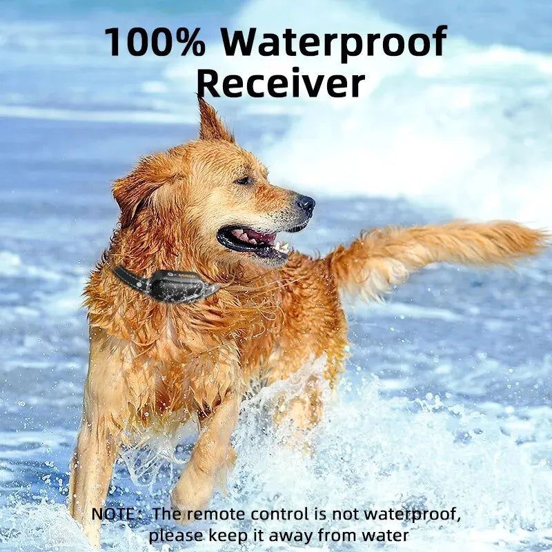 ProTrain – Rechargeable Waterproof Dog Training Collar with Remote