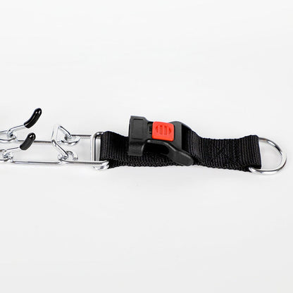 PawGuard – Comfort Pinch Collar for Dogs | Safe & Adjustable Training Collar