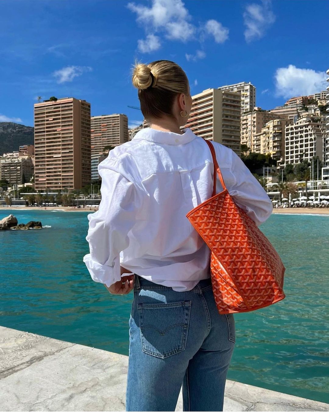 Elegant Handbag – Stylish Companion for Every Occasion