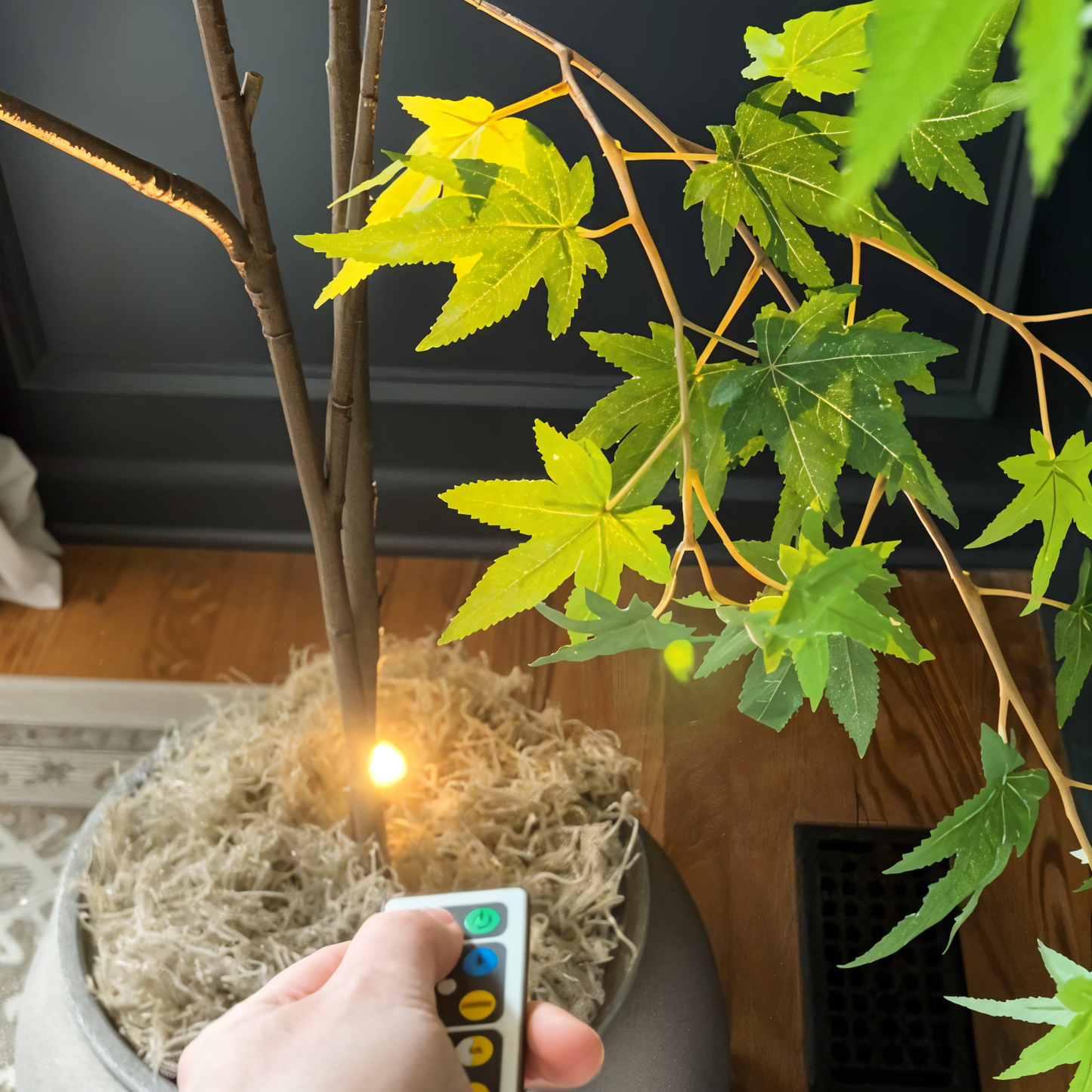 VividBeam | Mini Dimmable LED Spotlight | Wireless Accent Lighting for Home & Office