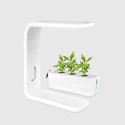 Indoor Smart Hydroponic Planter – Self-Watering Indoor Garden System for Healthy Plants