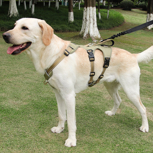 GripGuard Reflective No-Pull Dog Harness – Escape-Proof and Adjustable for Safe Walks