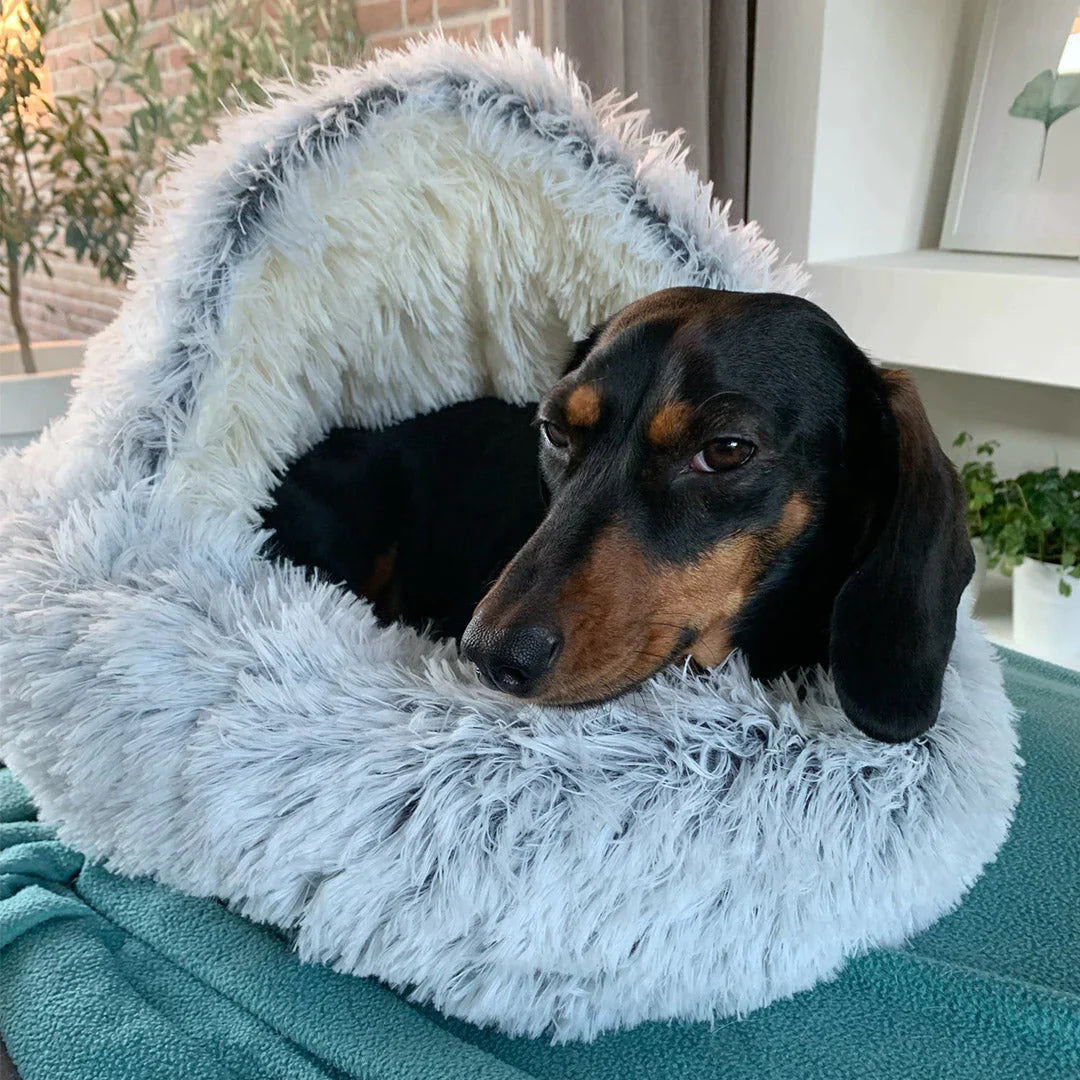 Luxury Calming Dog Bed – Soft, Supportive & Stress-Relieving Pet Bed for Dogs