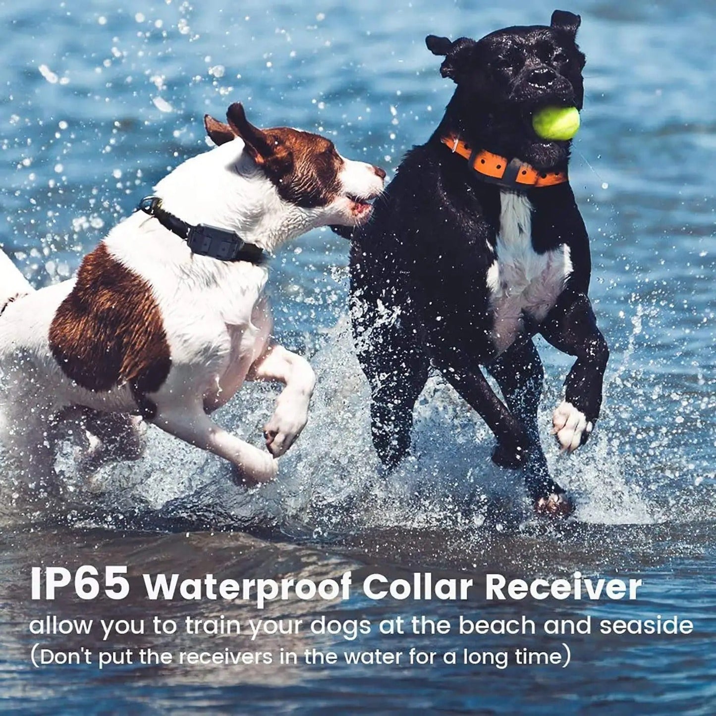 Rechargeable Waterproof Anti-Bark Dog Collar with Remote Control – 500m Range Training Collar